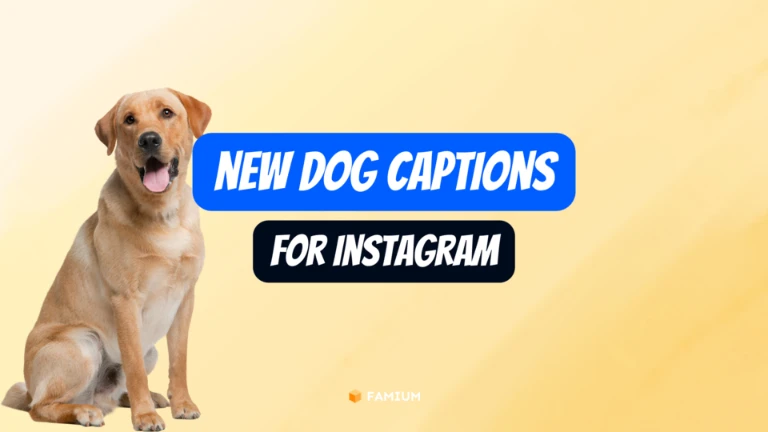 New Dog Instagram Captions